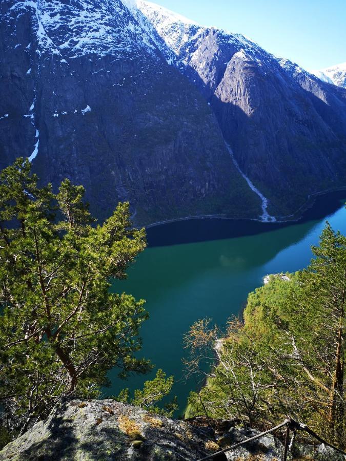 Eidfjord Hotel Dış mekan fotoğraf